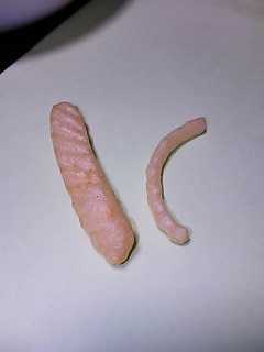 т